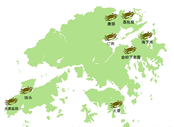 红树林与共生动物群